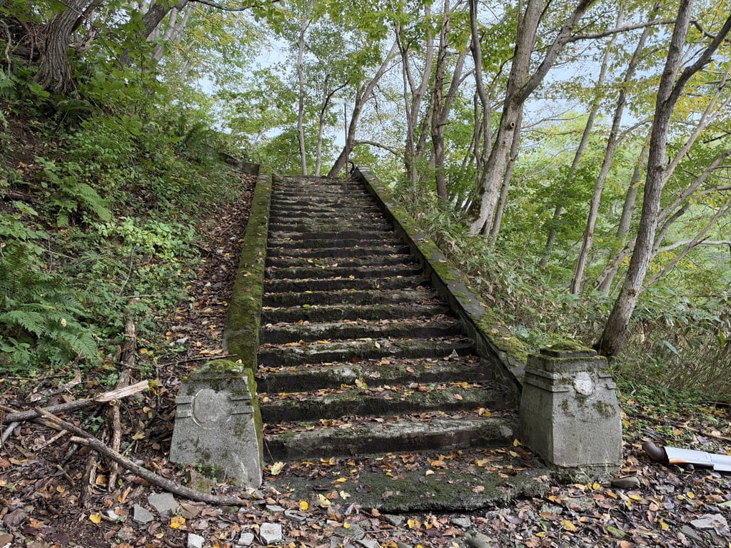 幌内神社本殿跡へ向かう苔むした長い石段と周囲の森林