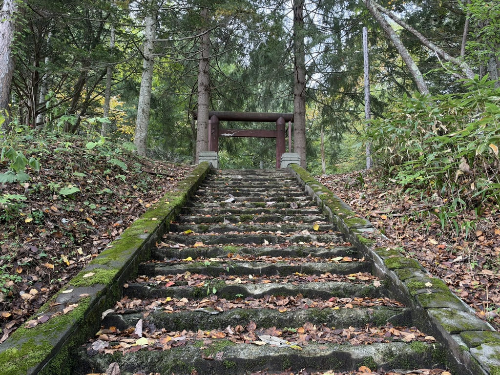 幌内神社本殿跡の参道に残る苔むした石段と鳥居
