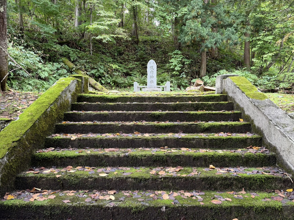 幌内神社本殿跡の苔むした短い石段と奥に残る石碑