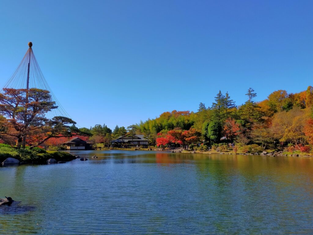 国営昭和記念公園の秋