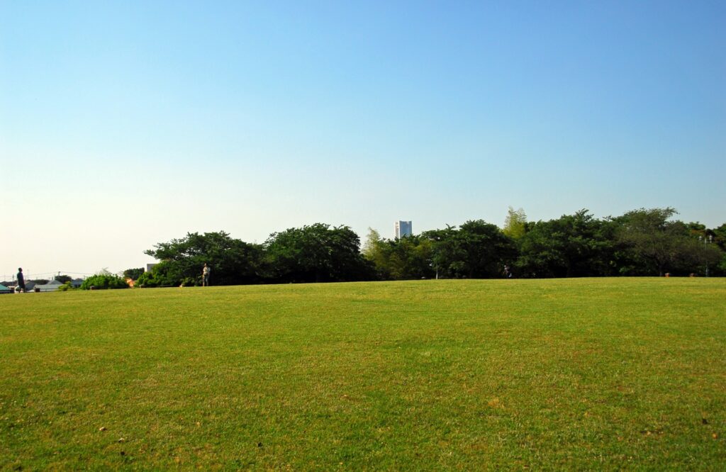 神奈川県横浜市の根岸森林公園の広大な芝生と旧競馬場スタンド