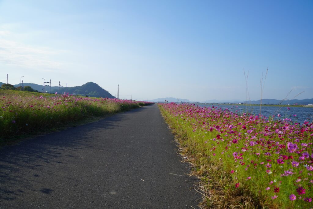 大阪府守口市の淀川河川公園
