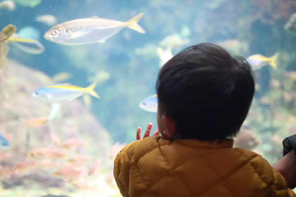 藤沢市新江ノ島水族館
