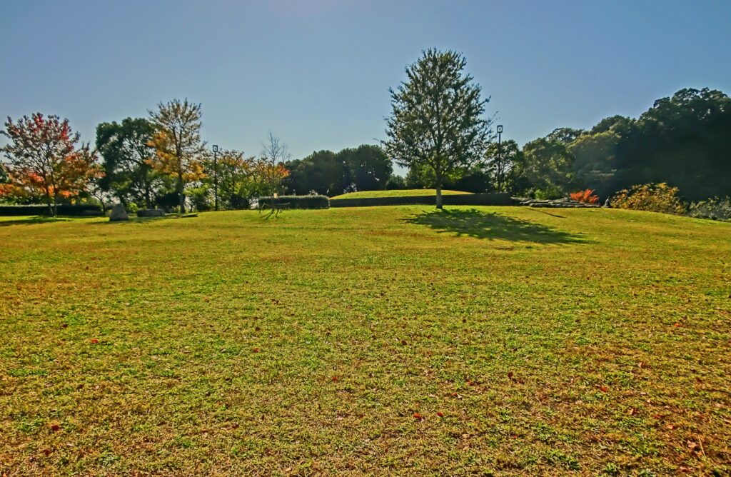 神奈川県横浜市の長浜公園の芝生広場