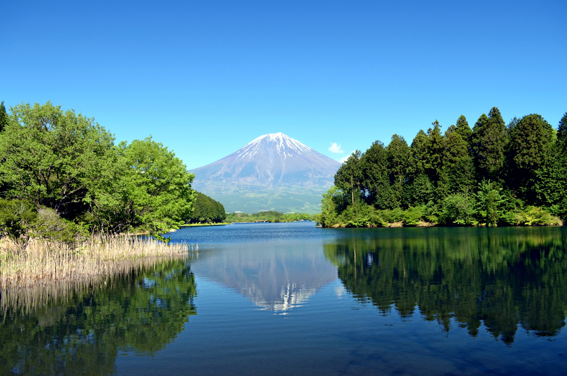 静岡県富士宮市の逆さ富士