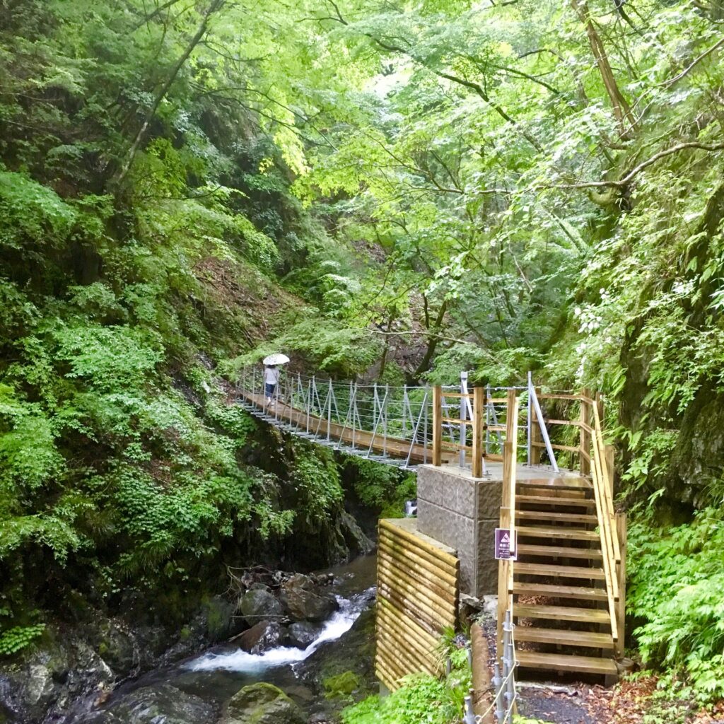 静岡県静岡市葵区の大滝への緑道 静岡県静岡市葵区の大滝への緑道