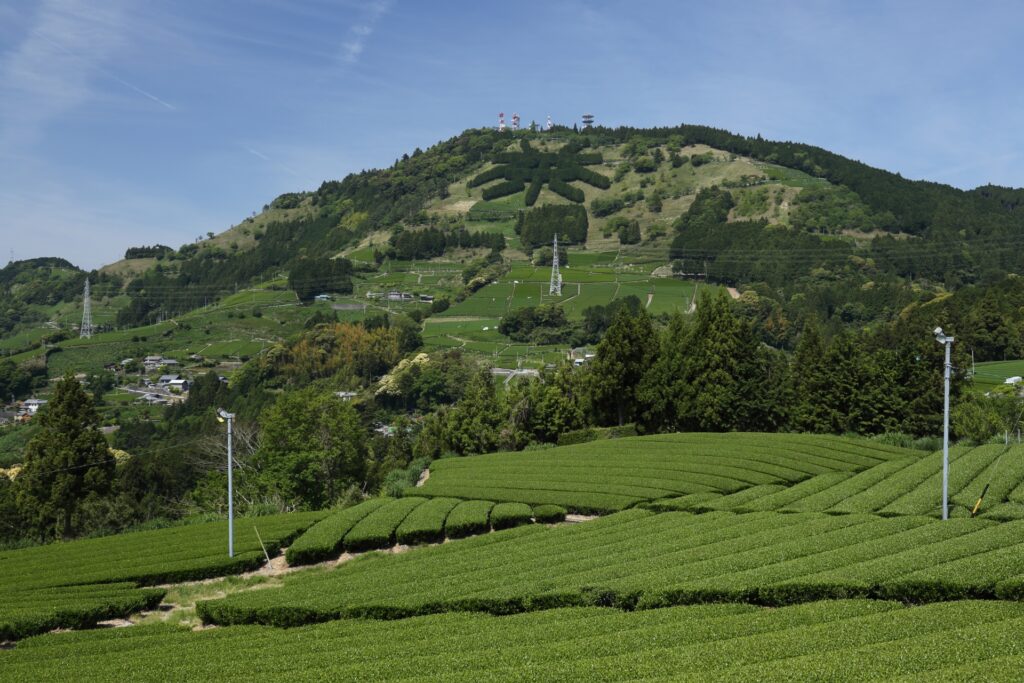 静岡県掛川市の粟ヶ岳