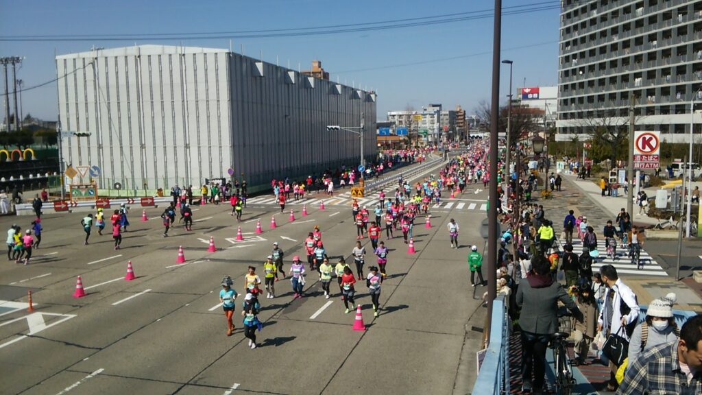 福井市のふくい桜マラソン