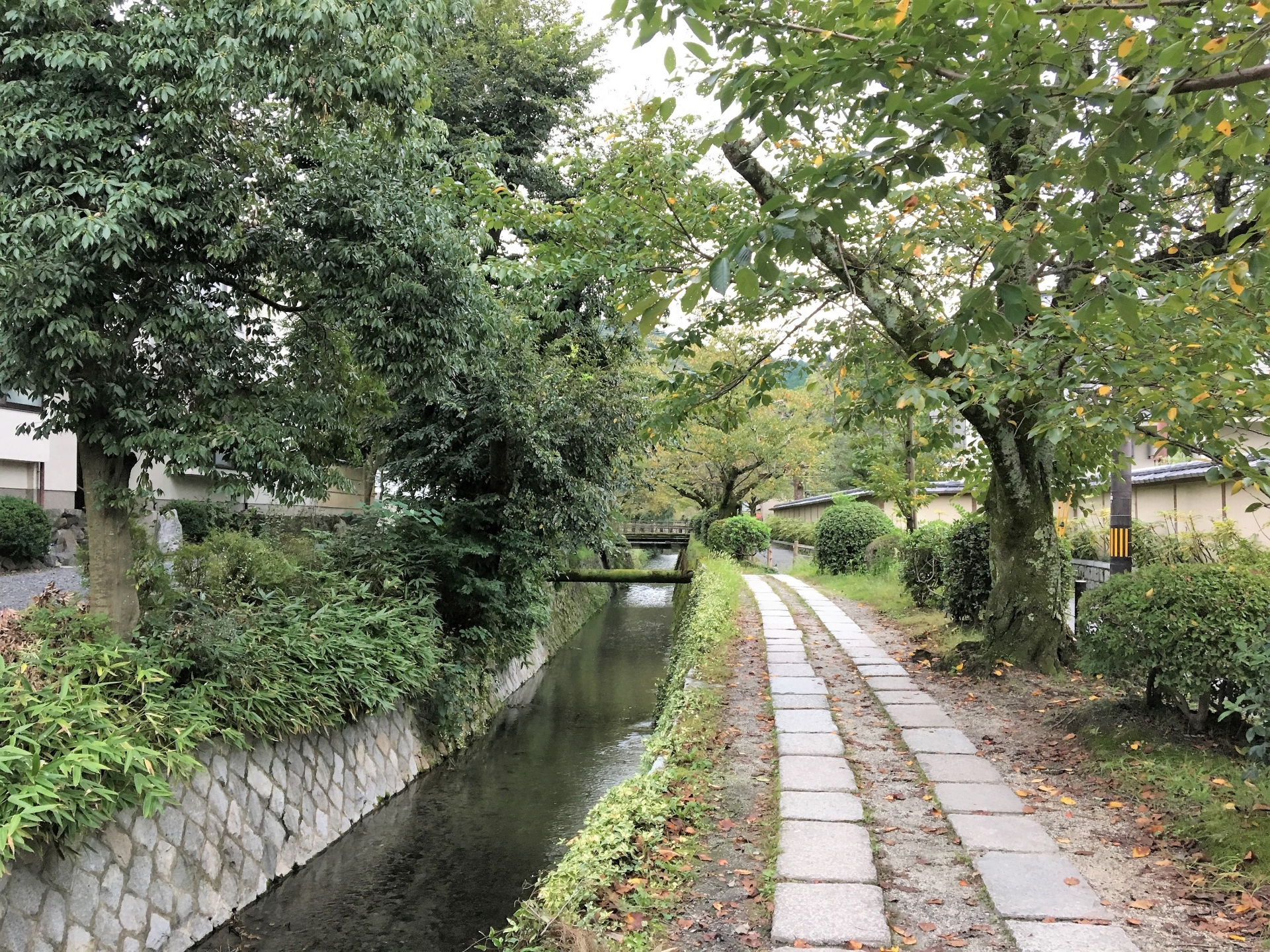 京都市左京区の哲学の道