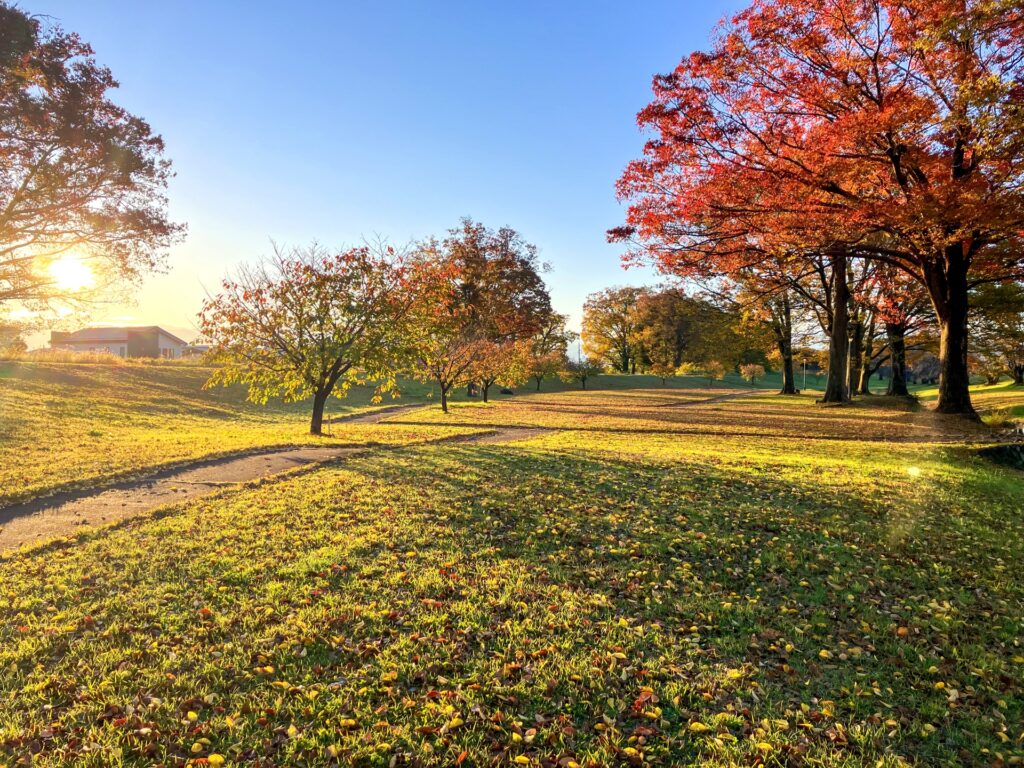 大阪府守口市の淀川河川公園