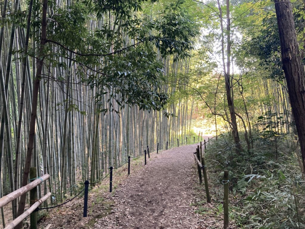 緑地 愛知県名戸谷市名東区の緑地
