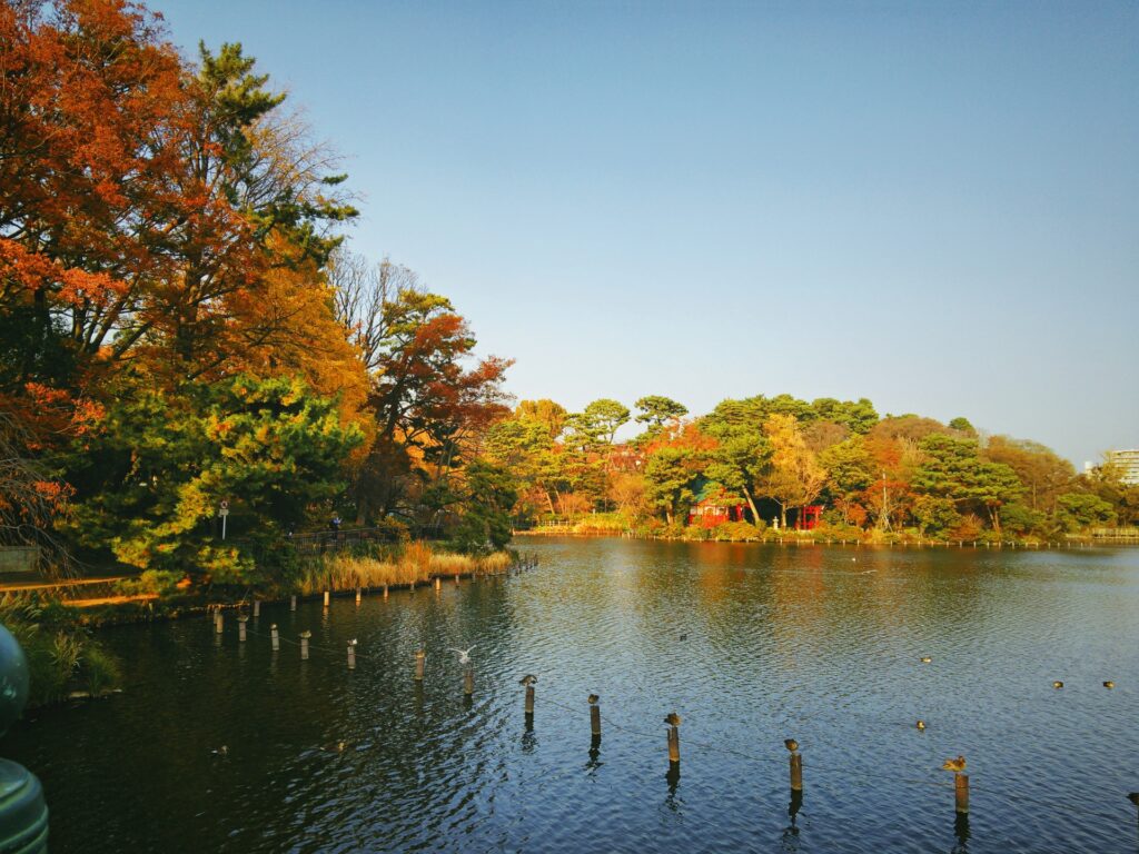 大田区の洗足池と紅葉 
