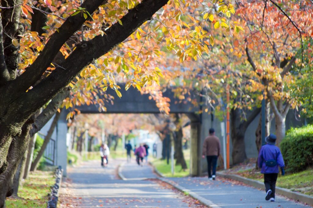 大阪市都島区の毛馬桜之宮公園の散策路