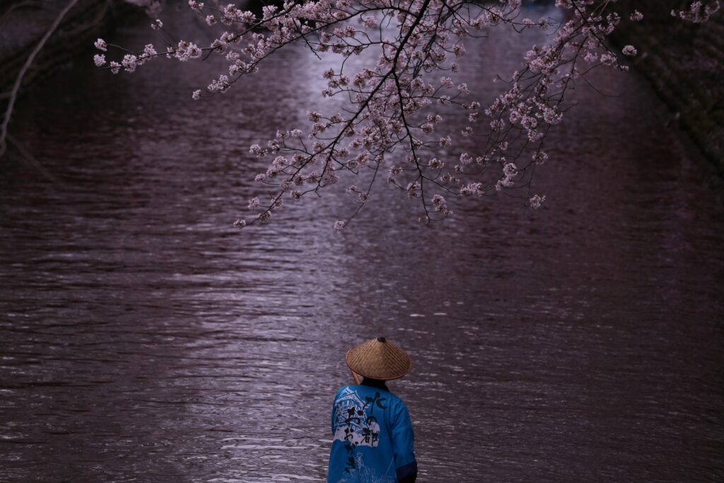 岐阜県大垣市の水門川の夕景と桜