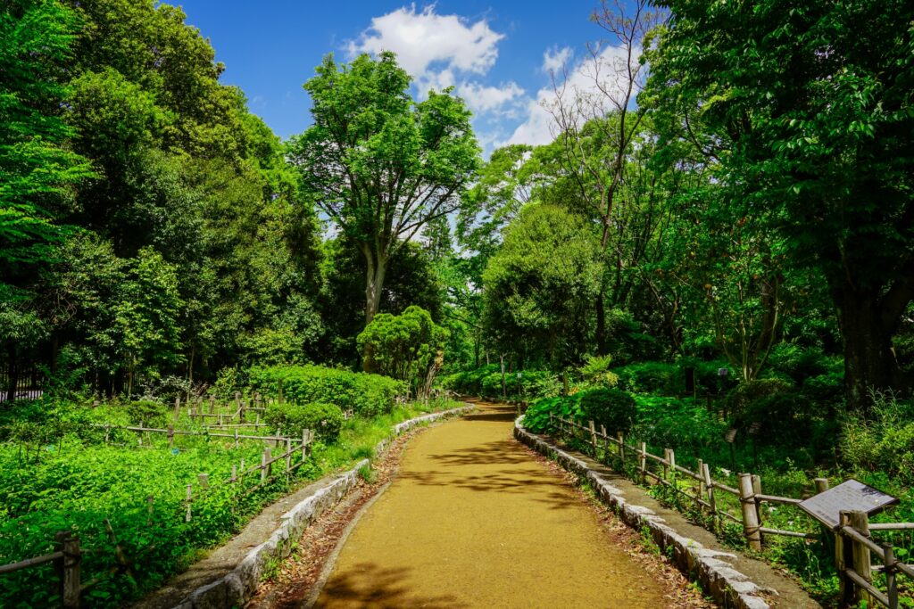 神奈川県川崎市宮前区の緑地公園