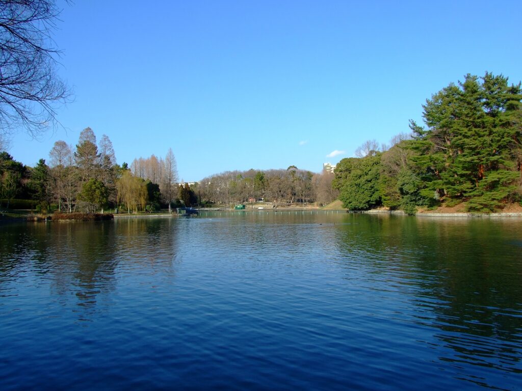 吹田市の千里南公園