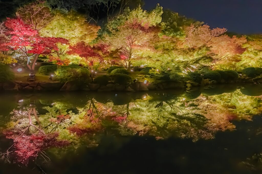 京都市南区の東寺庭園と池