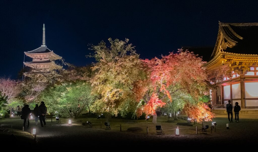 京都市南区の東寺五重塔夜景