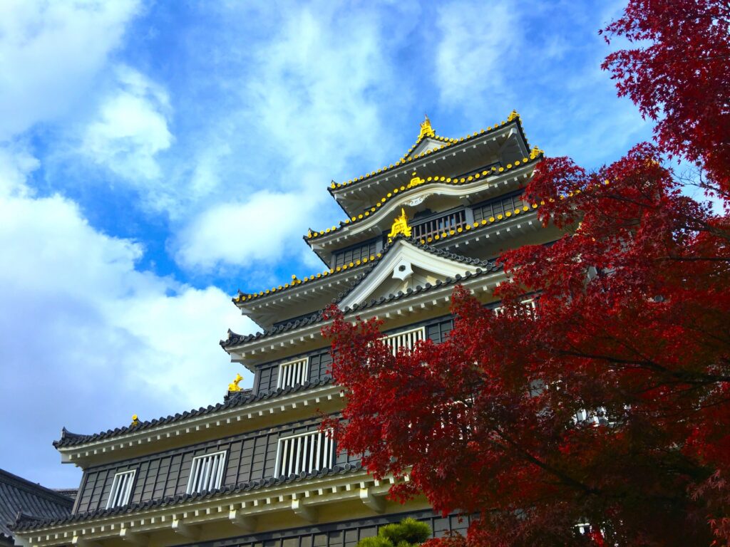 紅葉に照らされた岡山城 紅葉に照らされた岡山城