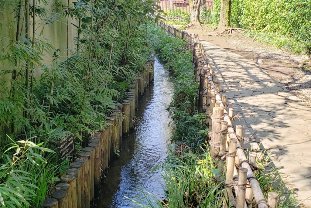 国分寺市のお鷹の道