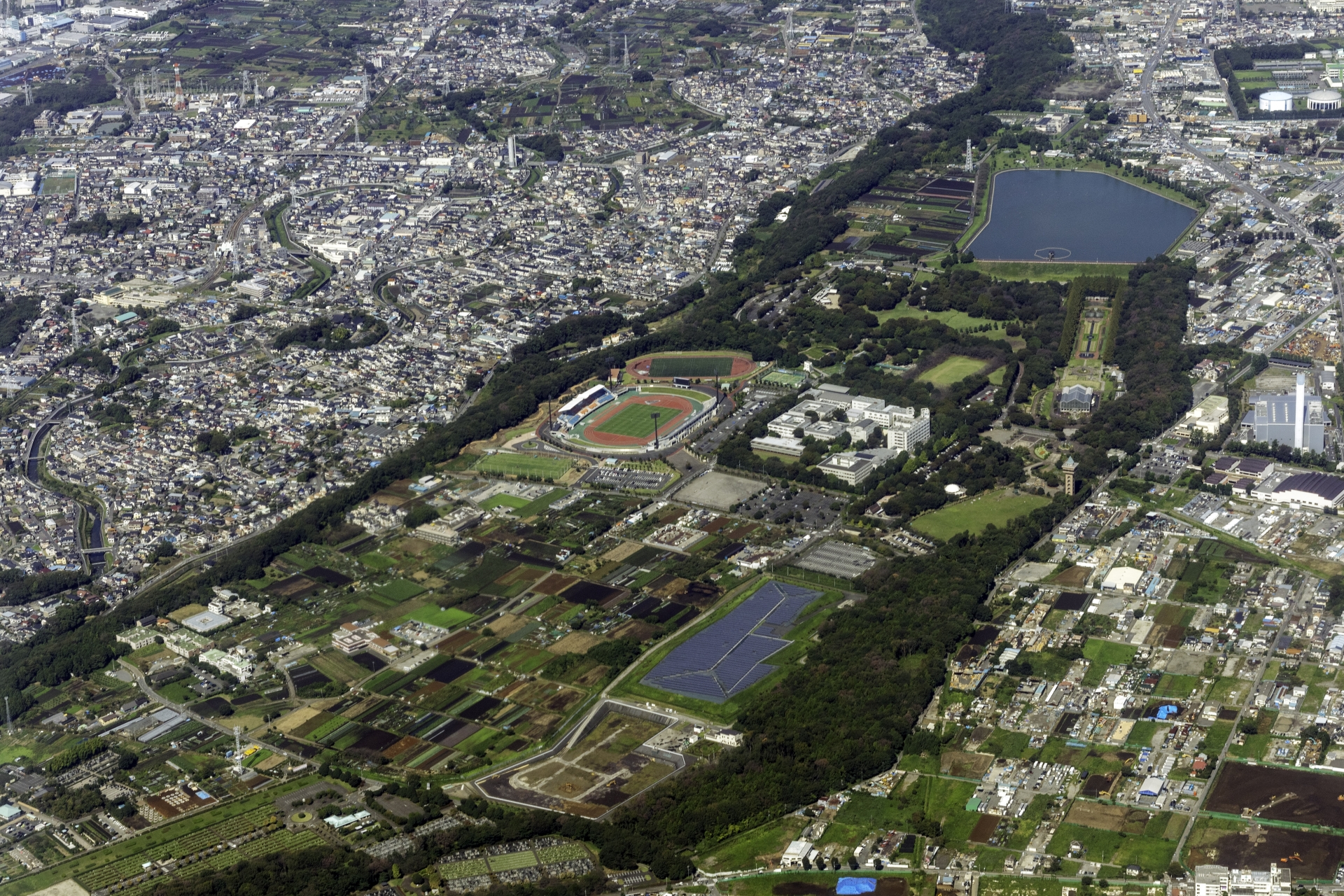 神奈川県相模原市中央区で歴史と街並みを歩く街旅 鹿沼公園・横山公園・亀ヶ池八幡宮