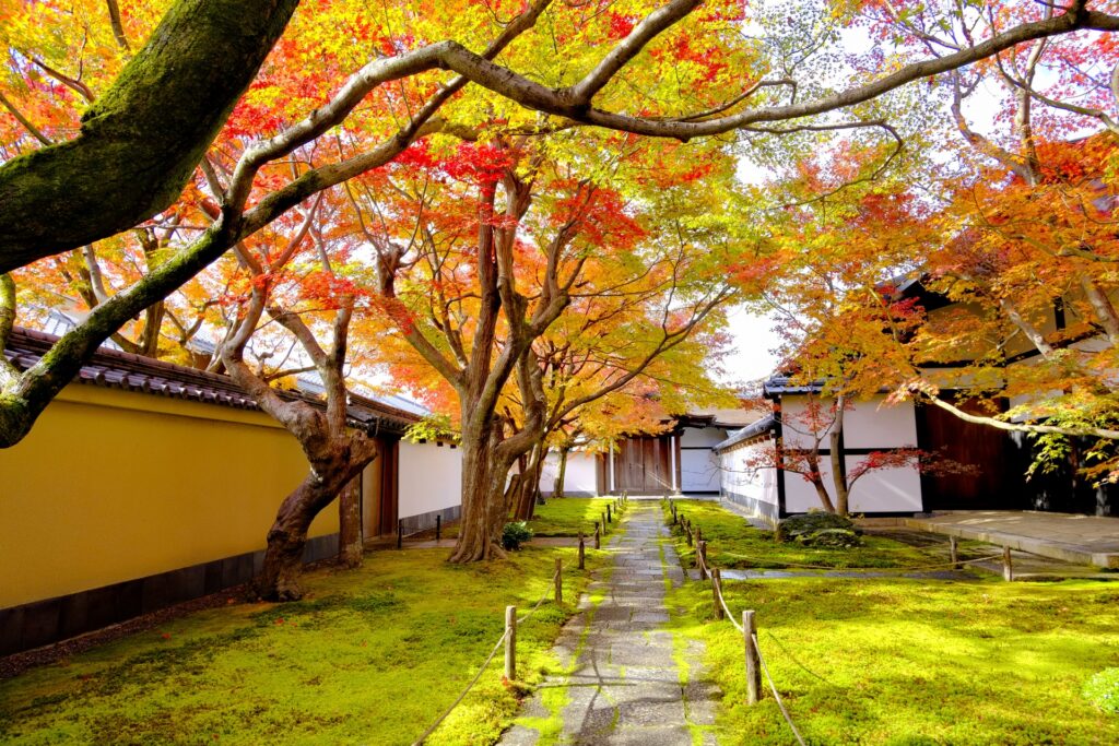 京都府京都市北区の大徳寺 京都府京都市北区の大徳寺