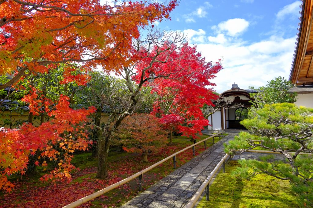 京都市北区の大徳寺
