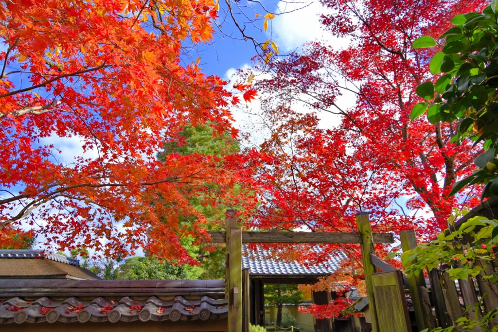 熊本市南区の大慈禅寺 熊本市南区の大慈禅寺