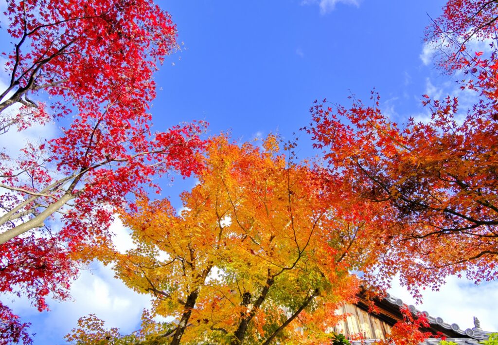 熊本市南区の大慈禅寺 熊本市南区の大慈禅寺