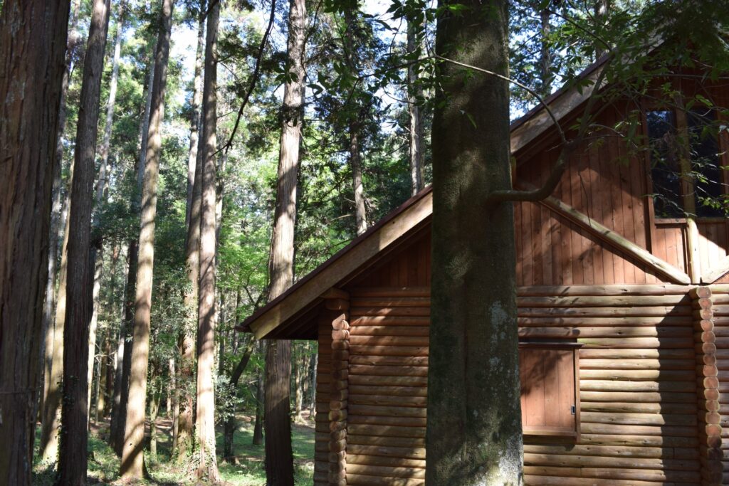 筑紫野市のログキャビン