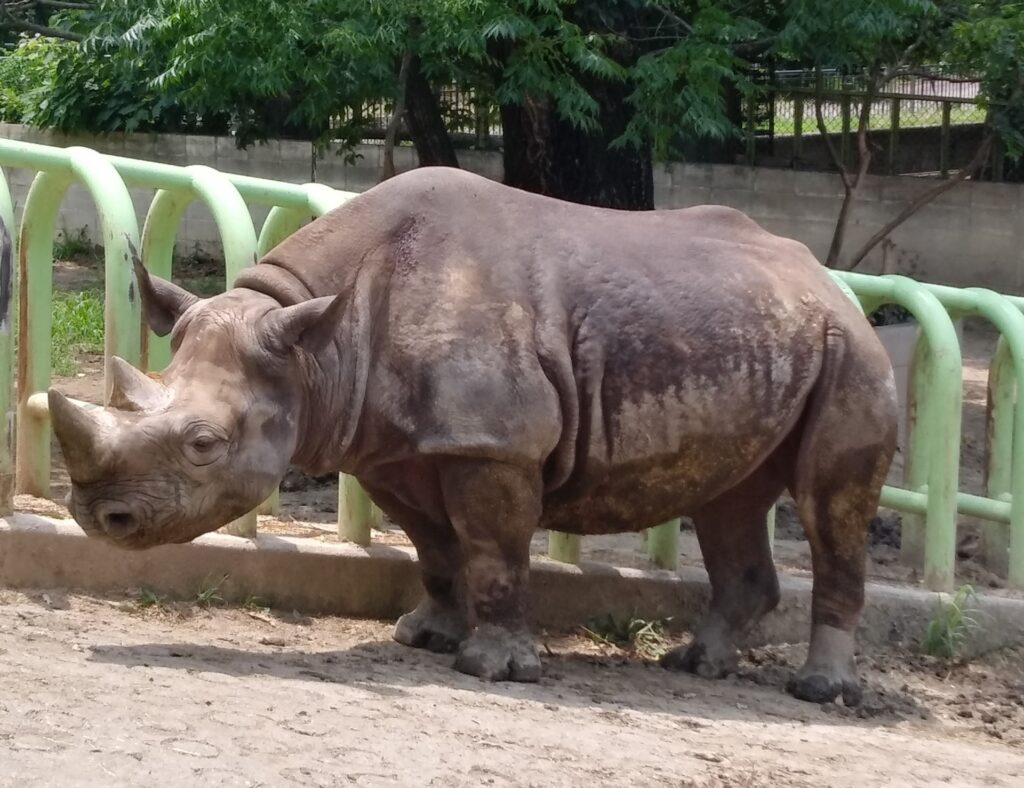熊本市動植物園