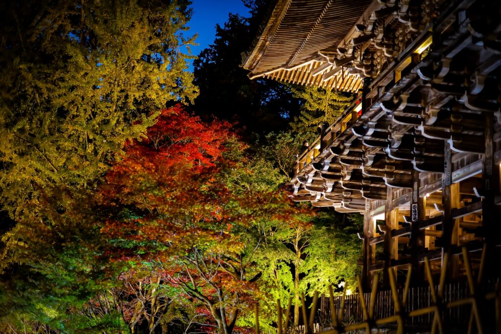 左京区の比叡山
