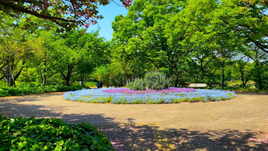 大阪市東住吉区の長居公園