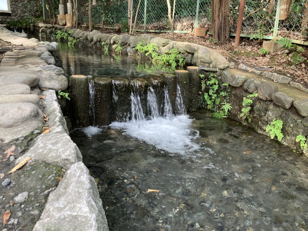 国分寺市のお鷹の道