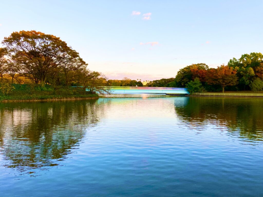 大阪府大阪市東住吉区の長居公園の紅葉