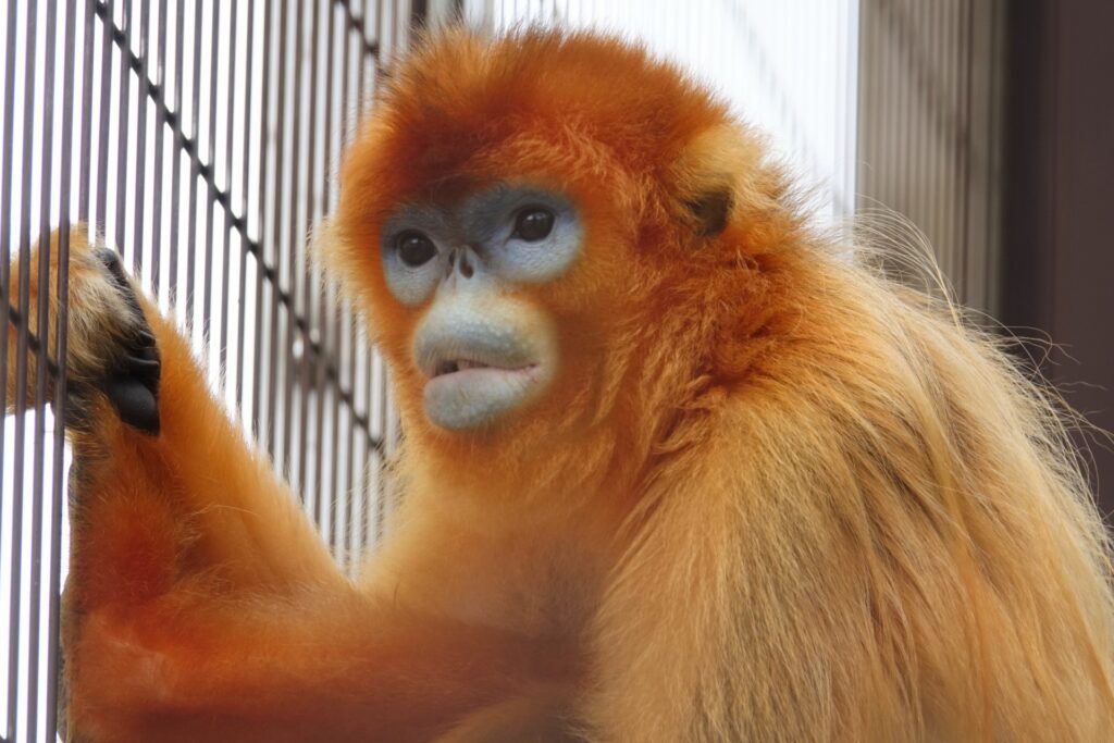 熊本市動植物園