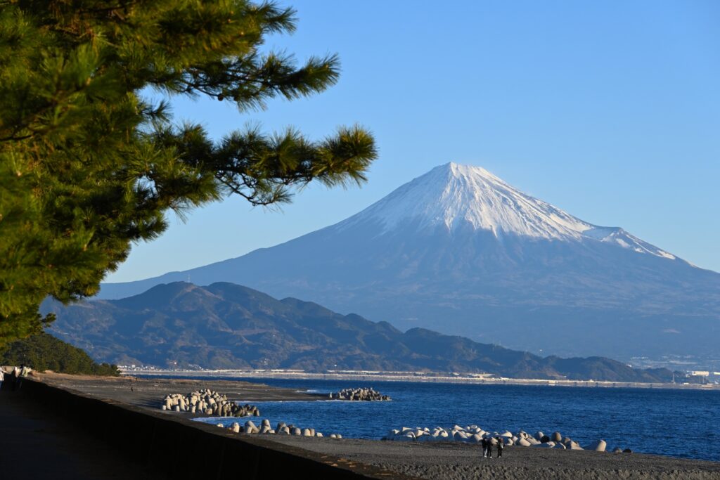 静岡県静岡市駿河区の駿河湾と松 静岡県静岡市駿河区の駿河湾と松