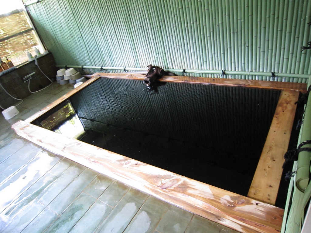 大田区の蒲田温泉の黒湯（イメージ）