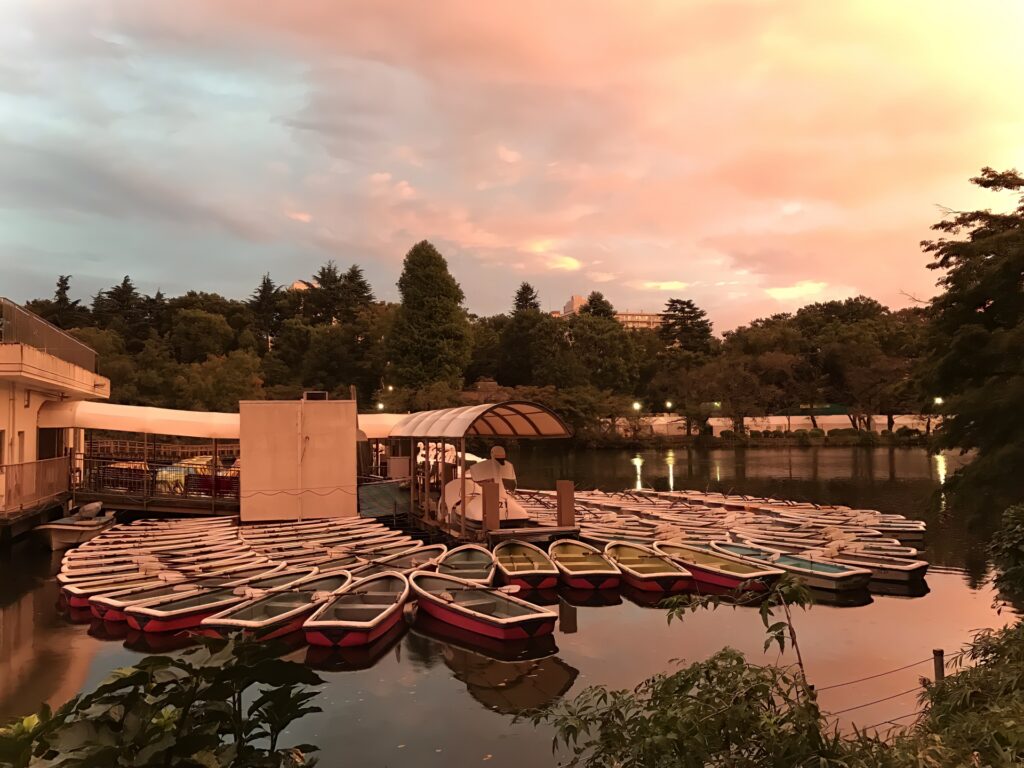 東京都三鷹市の井の頭恩賜公園の池と朝焼け