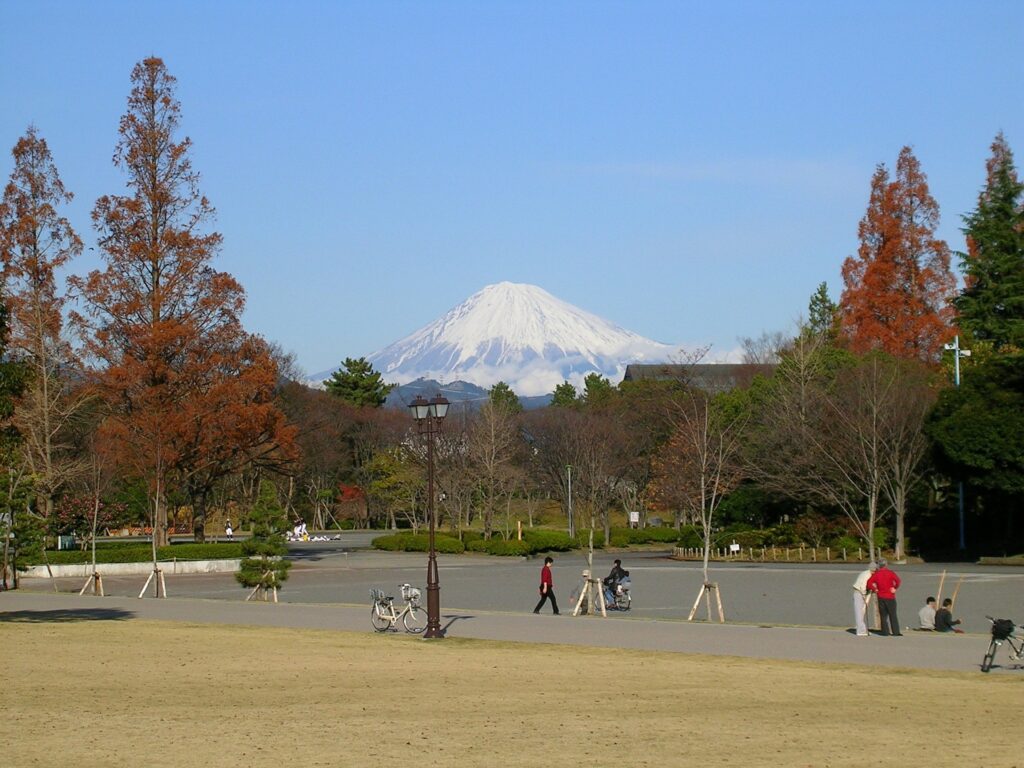 静岡県静岡市葵区の駿府公園を歩く人たち 静岡県静岡市葵区の駿府公園を歩く人たち