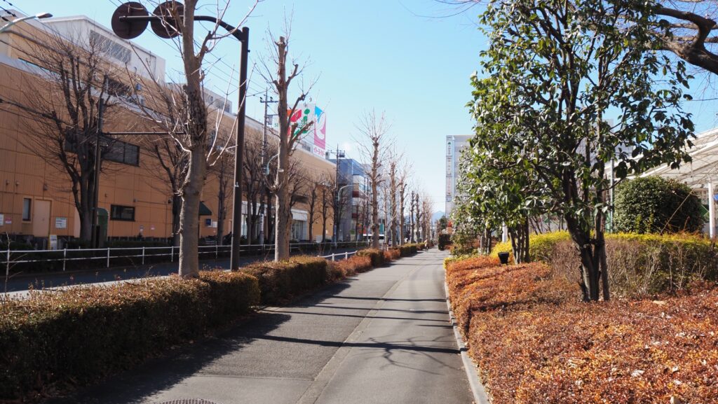 東京都昭島市の昭島駅周辺