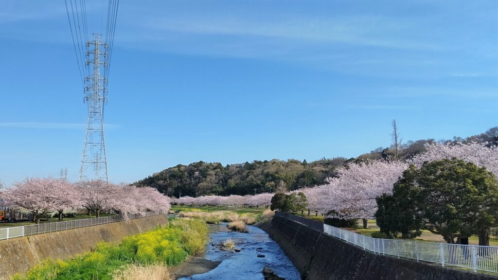 藤沢市引地川親水公園