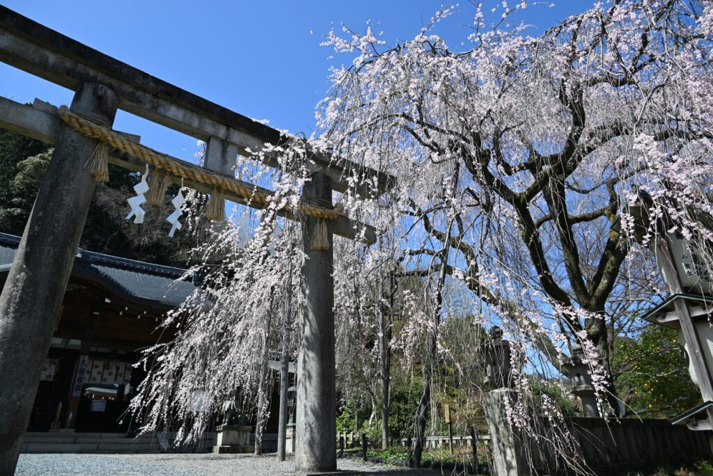 京都市山科区の大石神社の境内