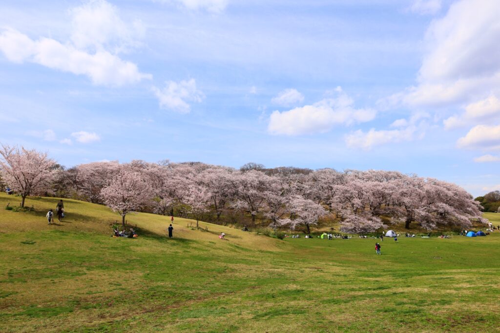 神奈川県横浜市の旧根岸競馬場スタンドと芝生広場