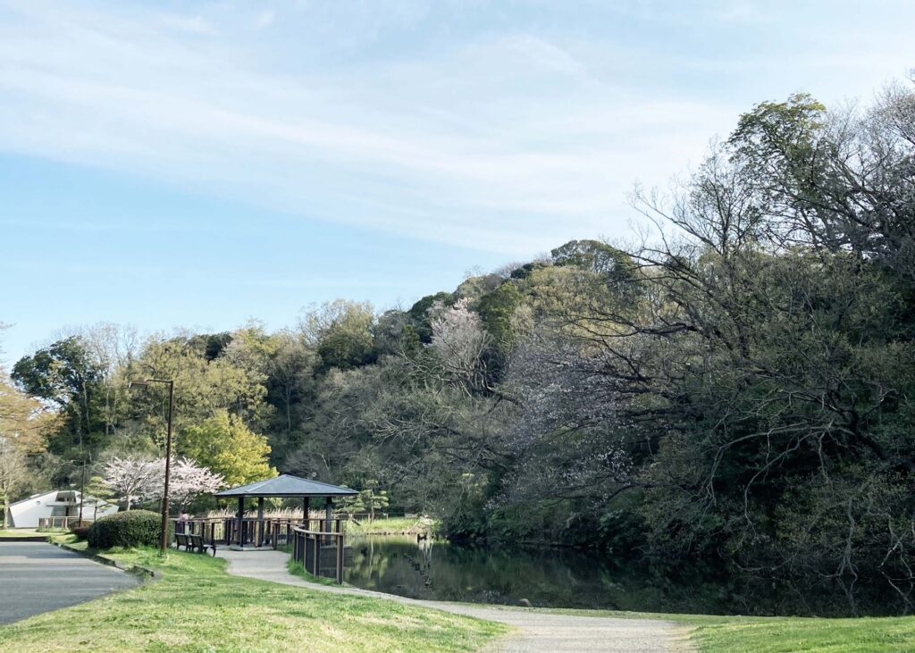 横浜市港南区の公演の広場