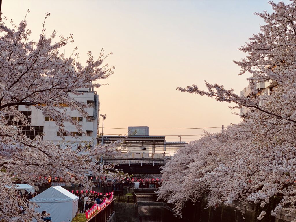 目黒区の夕暮れに染まる目黒川