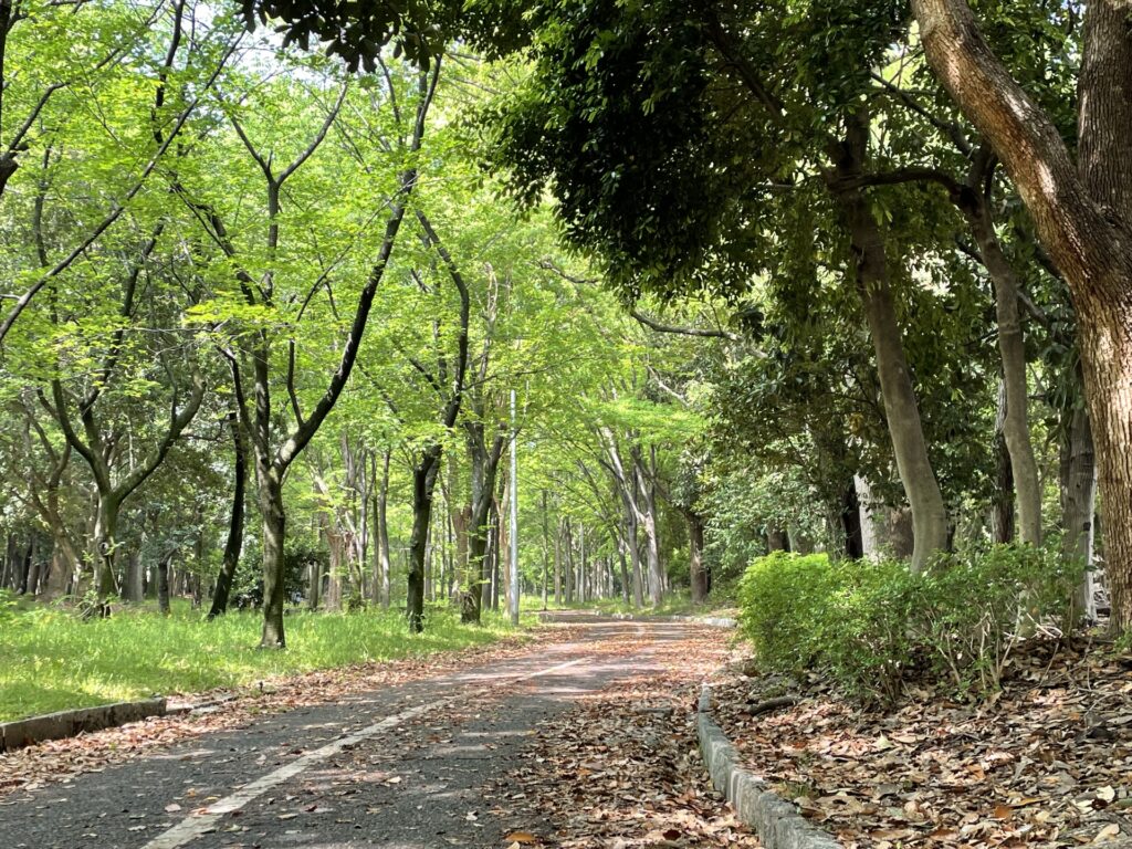 愛知県名古屋市の大江川緑地の風景