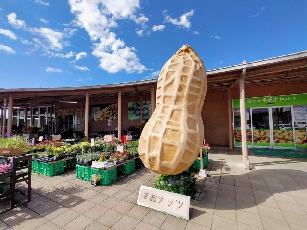 千葉県木更津市の木更津駅前の街並み