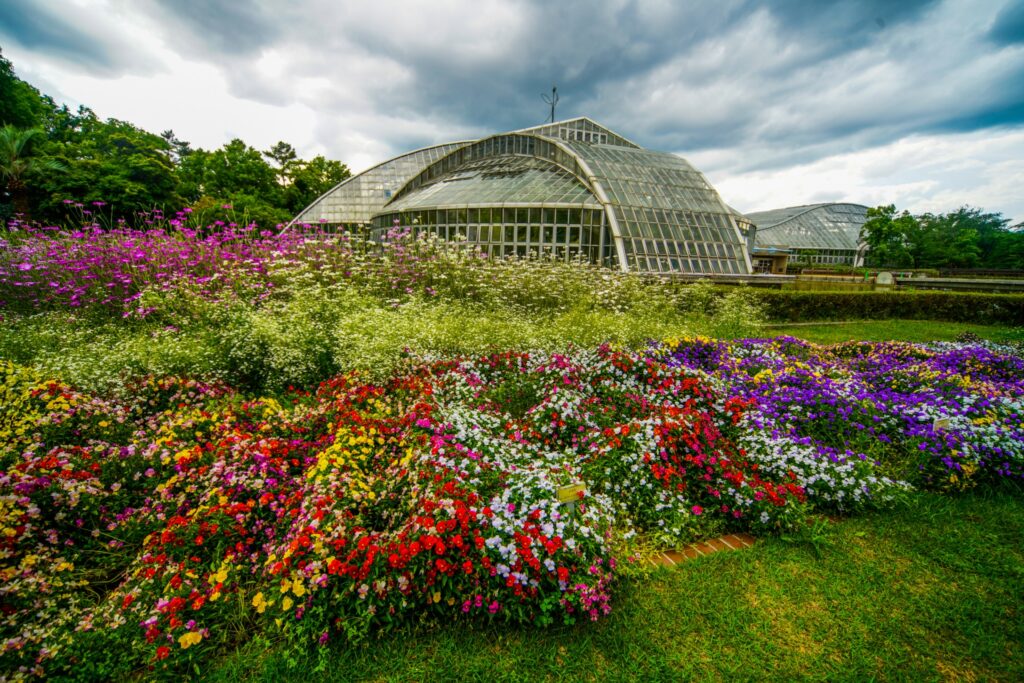 左京区の植物園