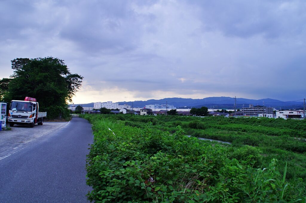 茨木市の元茨木川緑地